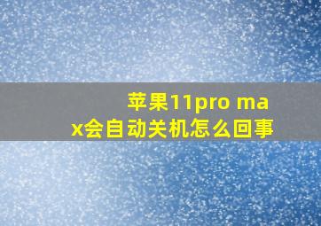 苹果11pro max会自动关机怎么回事